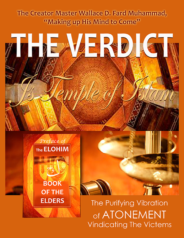 The Verdict Book Cover smaller